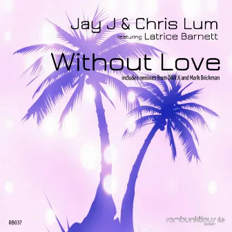 Without Love (Remixes) by Unknown Artist