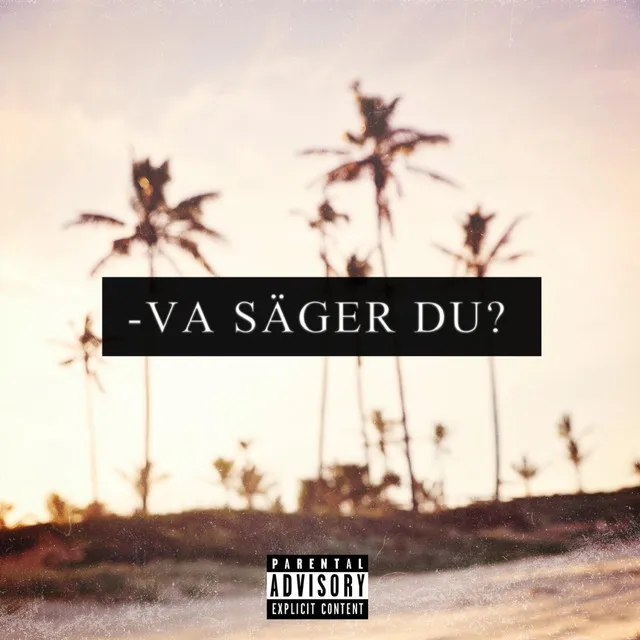 Va säger du?