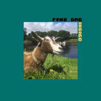 Indigo (feat. Loren Taylor) by Fake Dad