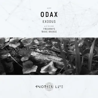 Exodus by ODAX