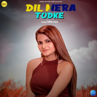 Dil Mera Tod Ke by Vipin Foji