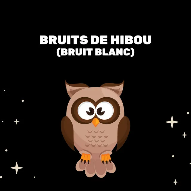 Bruits De Hibou (Bruit Blanc)