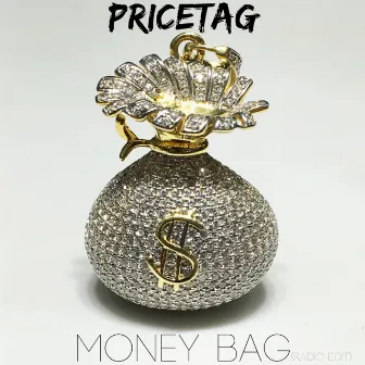 Money Bag (Radio Edit) by PriceTag