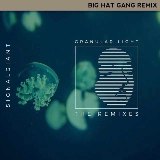 Granular Light (Big Hat Gang Remix)