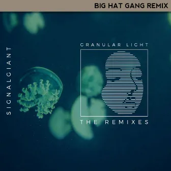 Granular Light (Big Hat Gang Remix) by Big Hat Gang