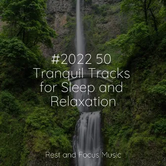 #2022 50 Tranquil Tracks for Sleep and Relaxation by Egyptian Meditation Temple