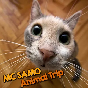 Animal Trip by Mc Samo