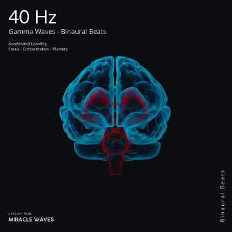 40 Hz Gamma Waves for Focus - Binaural Beats by Miracle Waves