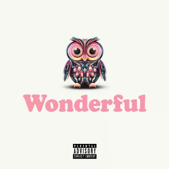 Wonderful by $kinny