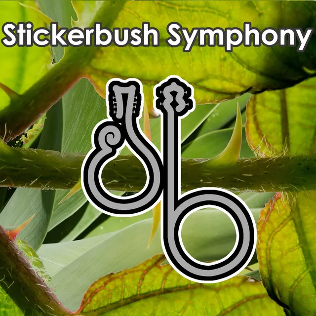 Stickerbush Symphony (From 