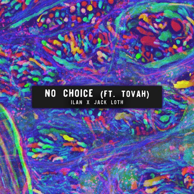 No Choice