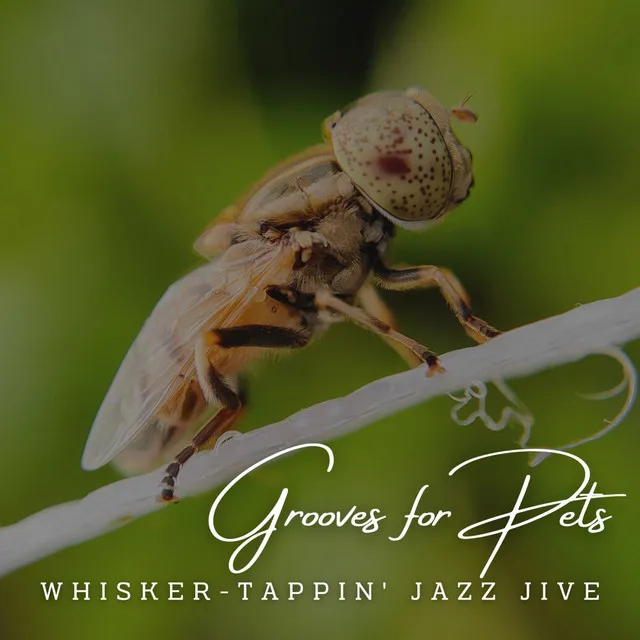 JazzPaws: Café Lounge Grooves for Pets