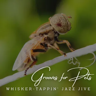 JazzPaws: Café Lounge Grooves for Pets by Mellow Jazz Playlist