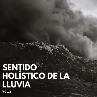 Sentido Holístico De La Lluvia Vol. 2 by Maravilla de lluvia