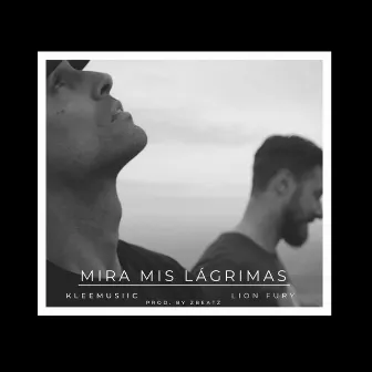 Mira mis lágrimas by Kleemusiic