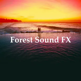 Forest Sound FX by Forest Sounds For Relaxation