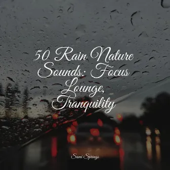 50 Rain Nature Sounds: Focus Lounge, Tranquility by Sleep Rain