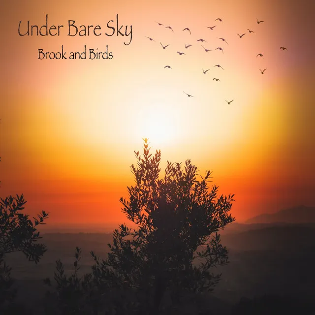 Under Bare Sky