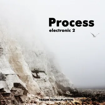 Electronic 2 by Process