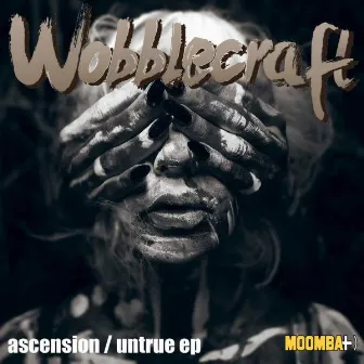 Ascension / Untrue EP by Wobblecraft