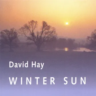 Wintersun by David Hay