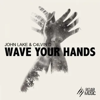 Wave Your Hands by John Lake