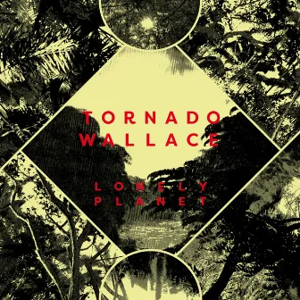 Lonely Planet by Tornado Wallace