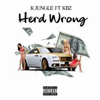 Herd wrong (Radio Edit) by K Jungle Lit