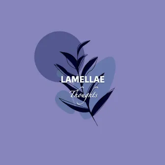 Thoughts by Lamellae