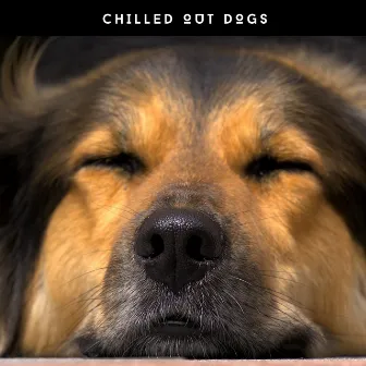 Puppy Relaxation Ambience - Chilled Out Dogs by Dog Chillout Zone