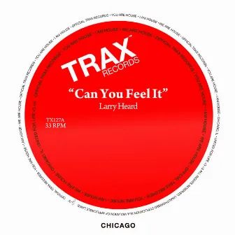 Can You Feel It by Larry Heard