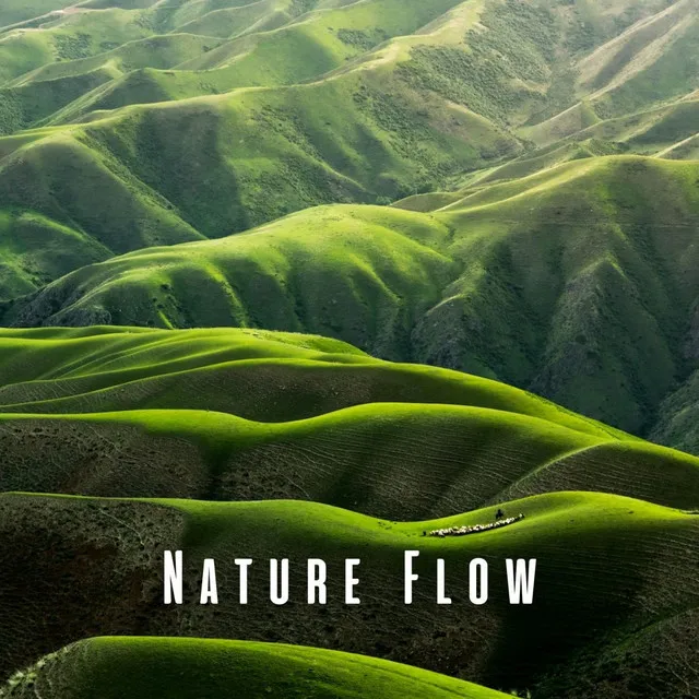 Nature Flow: Uninterrupted Focus with Binaural Beats