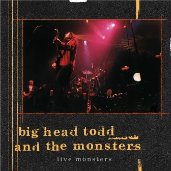 Live Monsters by Big Head Todd and The Monsters