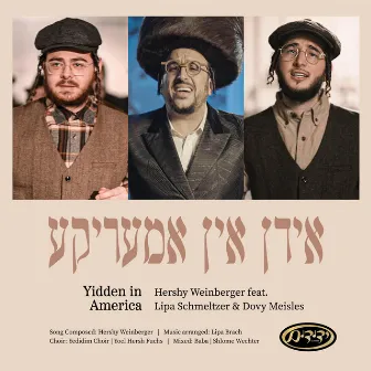 Yidden in America by Dovy Meisels