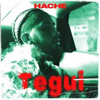 TEGUI by HACHE