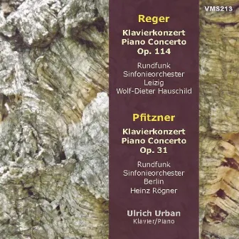 Reger & Pfitzner: Piano Concertos by Wolf-Dieter Hauschield