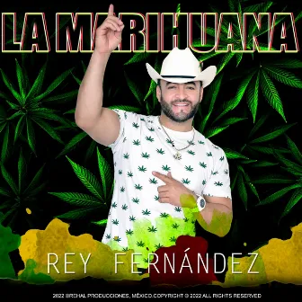 La Marihuana by Rey Fernandez