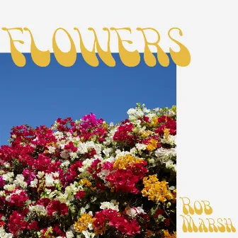 Flowers by Rob Marsh