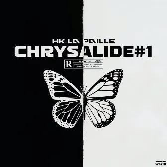 Chrysalide #1 by HK La Paille