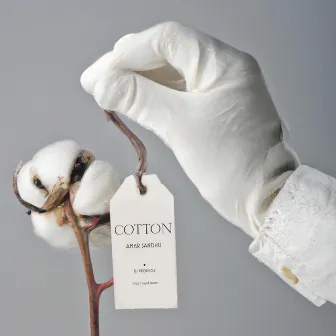 Cotton by Royal Maan