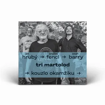 Tri Martolod (Live) by Sean Barry