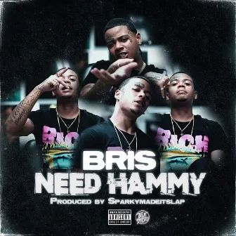 Need Hammy by Bris