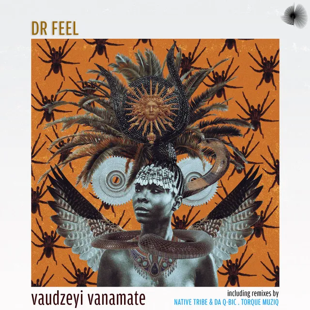 Vaudzeyi Vanamate - Native Tribe & Da Q-Bic Inhuman's Remix