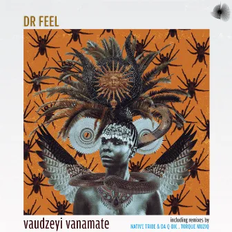 Vaudzeyi Vanamate by Dr Feel