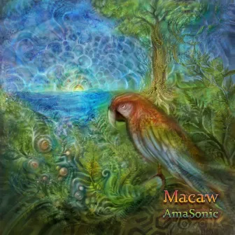 AmaSonic by Macaw