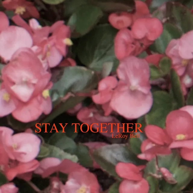 Stay Together