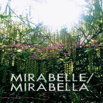 Mirabella by Mirabelle