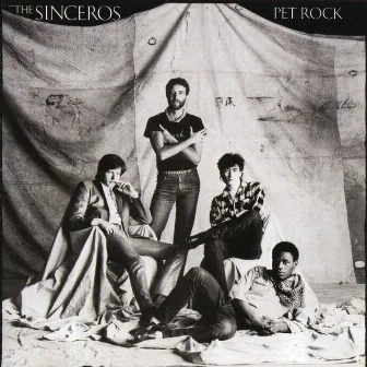 Pet Rock by The Sinceros