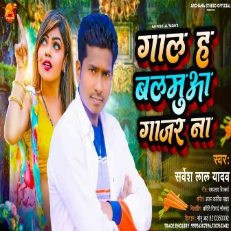 Gall H Balmuwa Gajar Na by Sarvesh Lal Yadav