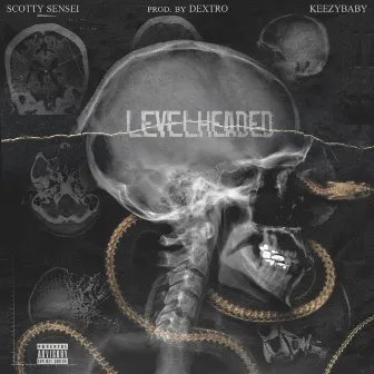 Level Headed by Scotty Sensei